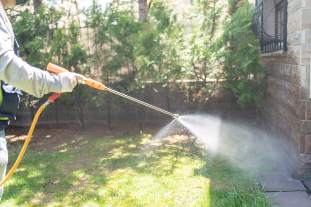Best Wasp Removal Services  in Mount Pleasant, PA