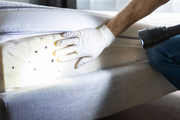 Best Best Pest Control Companies  in Mount Pleasant, PA