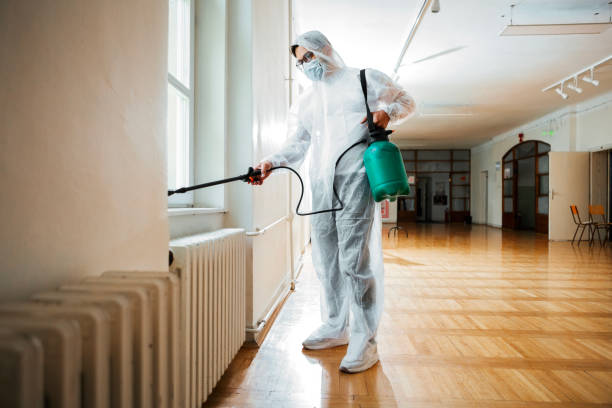 Best Local Pest Control Services  in Mount Pleasant, PA