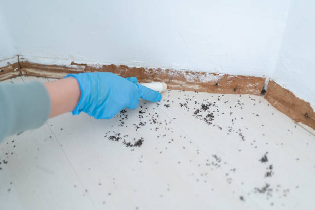 Mount Pleasant, PA Pest Control Company